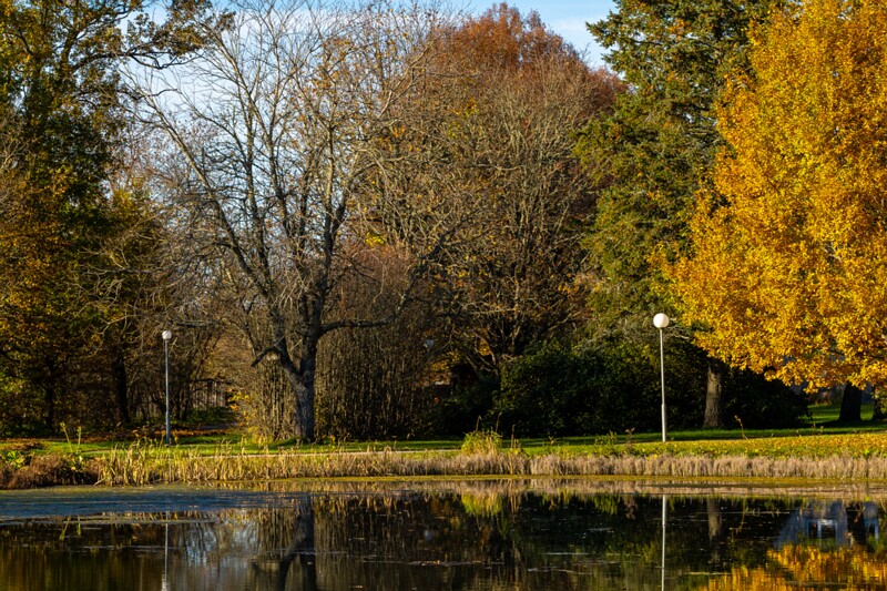 Allika järv  2025-10-19 1-10