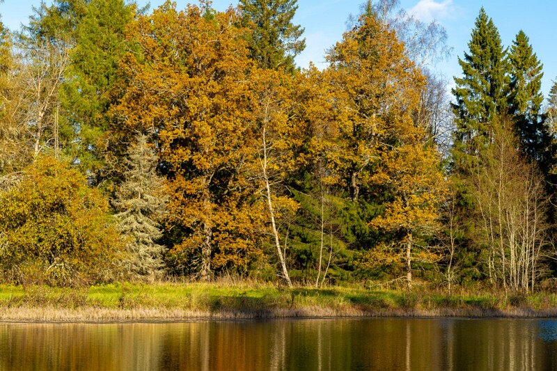 Allika järv  2025-10-19 1-4