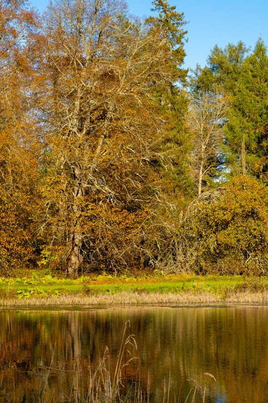 Allika järv  2025-10-19 1-5