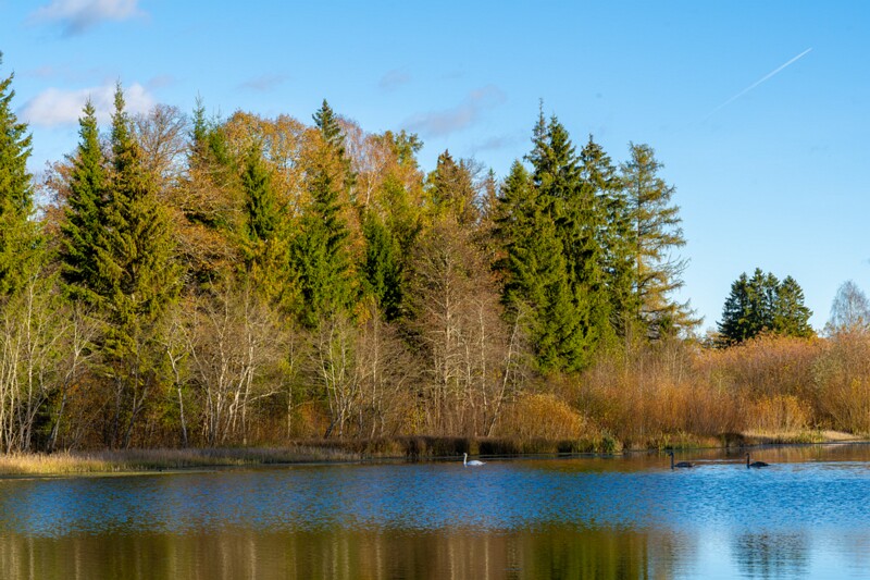 Allika järv  2025-10-19 1-7