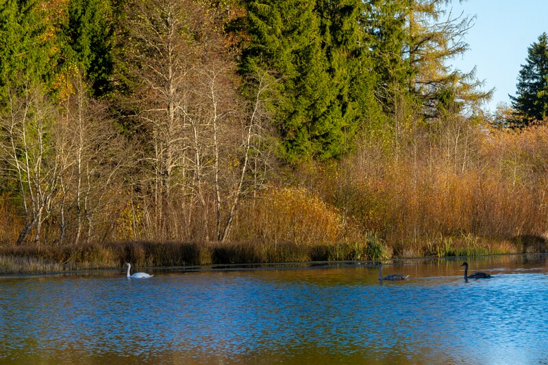 Allika järv  2025-10-19 1-8