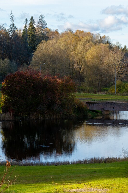 Jäneda park  2025-10-19 3-5