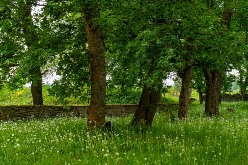 jõelähtme-kirik 1-35