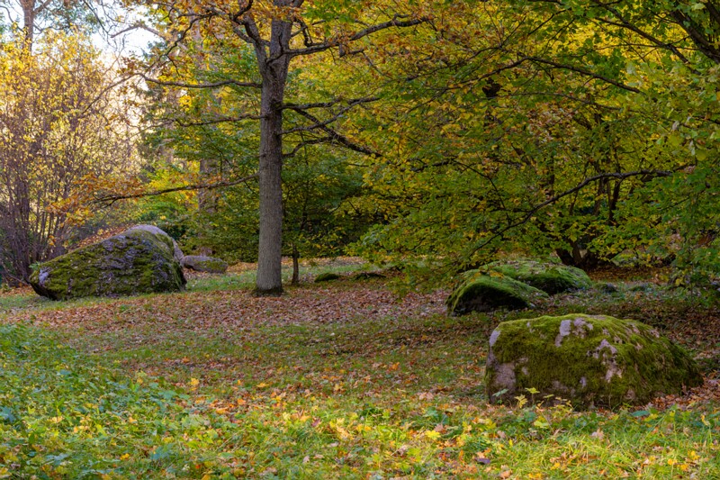 Kadrioru kivikülv  2025-10-18 1-9