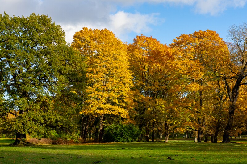 Kadrioru park sügisel  2025-10-18 1-35