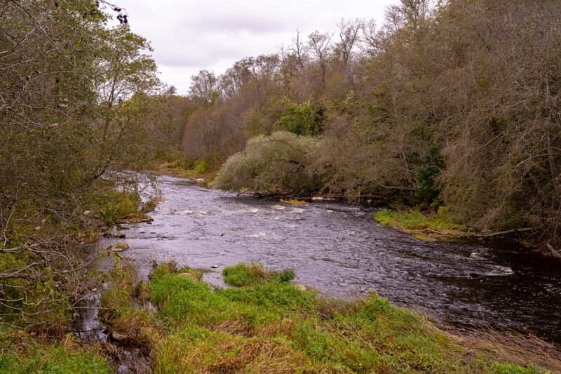 Kloostrimetsa rippsild  2025-10-04 1-7