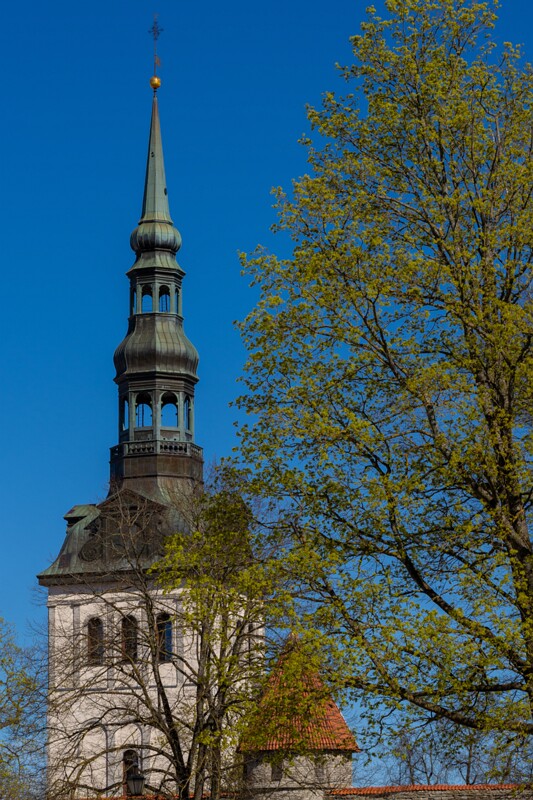 tallinna-niguliste-kirik 2025-05-03 1-1
