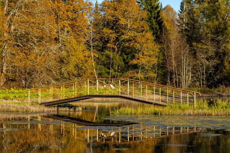 Allikajärve jalakäijate sild