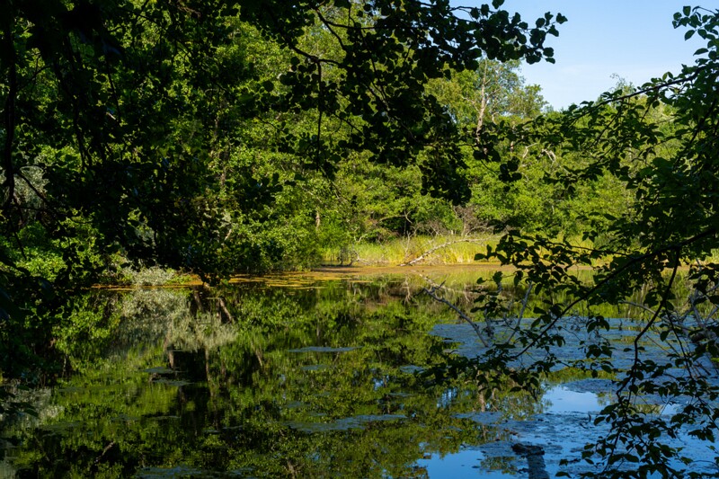 Harku Mõisajärv